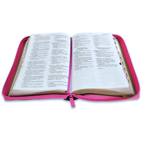 Biblia RVR1960 Inspiracion flores fucsia lima im piel cierre índice manual 12.5p - Image 2