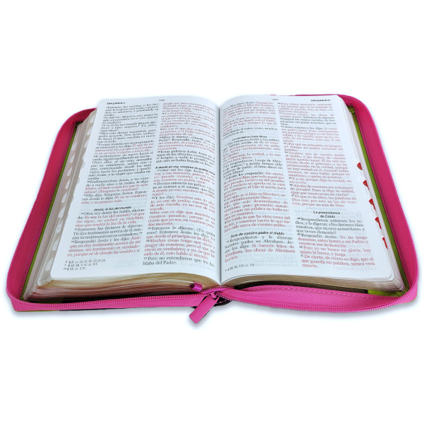Biblia RVR1960 Inspiracion flores fucsia lima im piel cierre índice manual 12.5p - Image 3