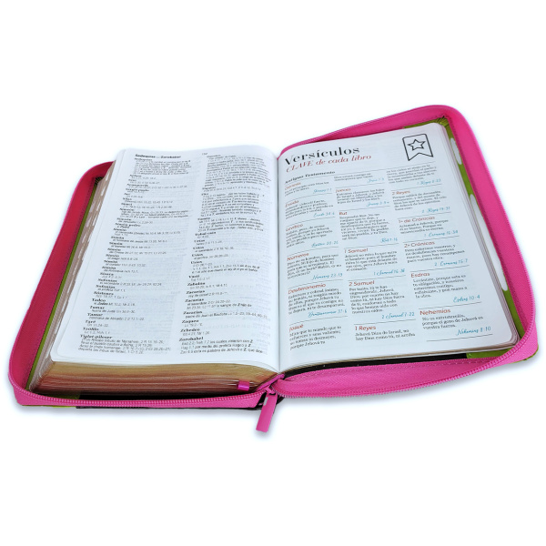 Biblia RVR1960 Inspiracion flores fucsia lima im piel cierre índice manual 12.5p - Image 4