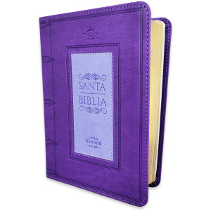 Biblia RVR1960 frame lila/lila im piel chica12p