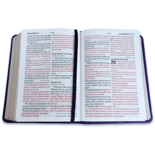 Biblia RVR1960 frame lila/lila im piel chica12p - Image 2