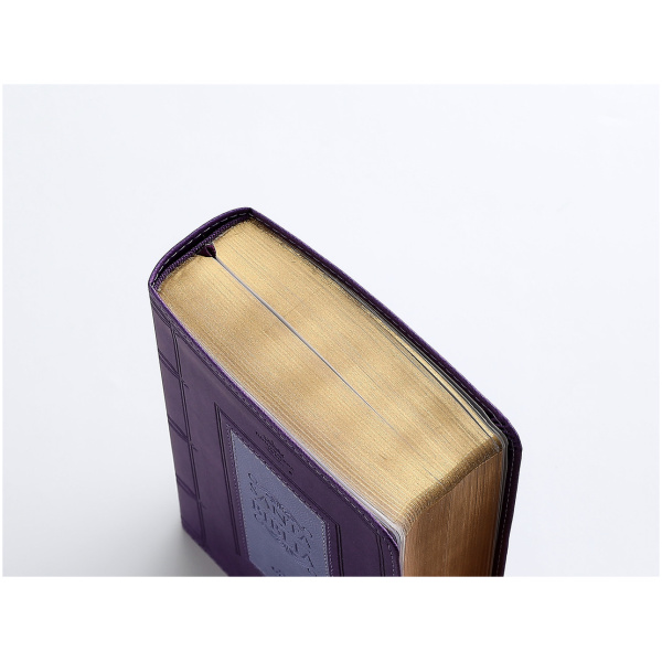 Biblia RVR1960 frame lila/lila im piel chica12p - Image 4