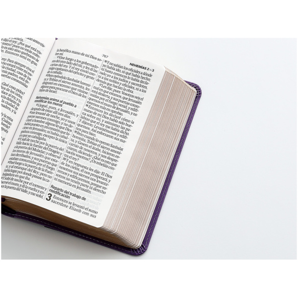 Biblia RVR1960 frame lila/lila im piel chica12p - Image 3