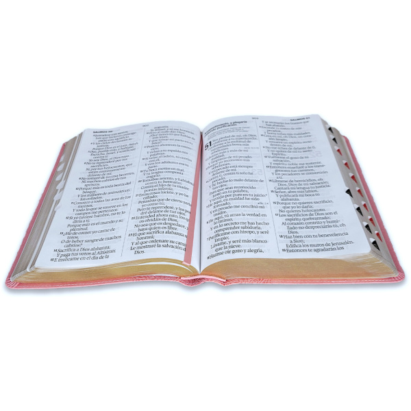 Biblia RVR1960 Efeso sup gig rosa floral im piel índice TG 19pt - Image 2