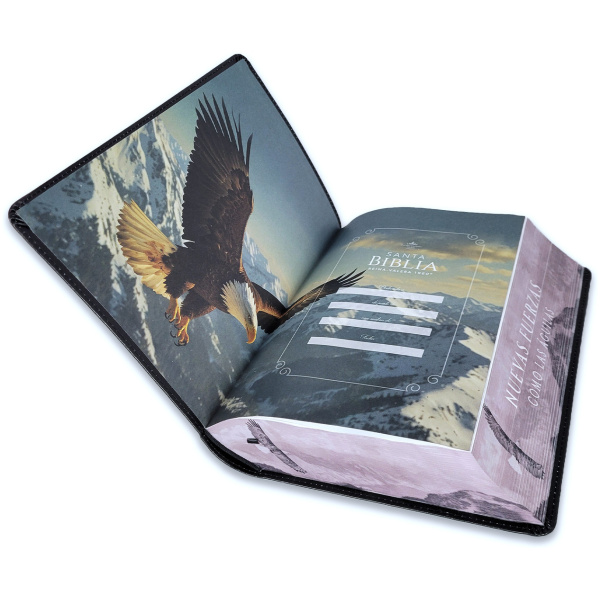 Biblia RVR1960 Sabiduria sup gig aguila cto pintado im piel TG 19p - Image 2