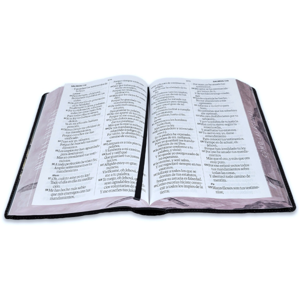 Biblia RVR1960 Sabiduria sup gig aguila cto pintado im piel TG 19p - Image 4
