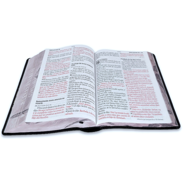Biblia RVR1960 Sabiduria sup gig aguila cto pintado im piel TG 19p - Image 3