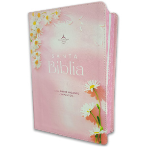 Biblia RVR1960 Sabiduria sup gig mujer virtuosa cto pintado im piel TG 19pt