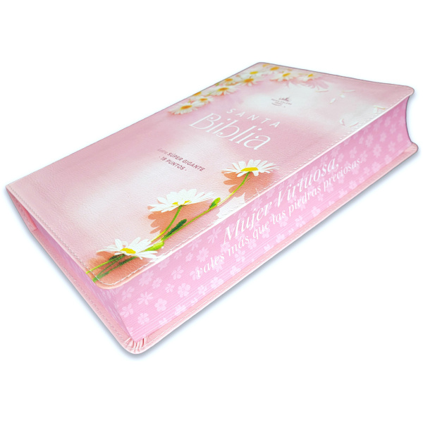 Biblia RVR1960 Sabiduria sup gig mujer virtuosa cto pintado im piel TG 19pt - Image 5