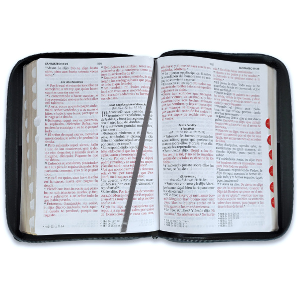 Biblia RVR1960 Expresate Leon negro/gris im piel cierre índice GI 15pt 085PRJ - Image 2