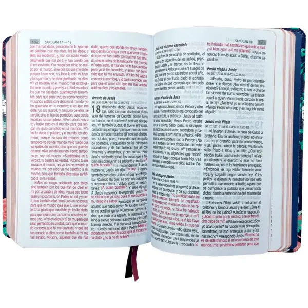 Biblia RVR1960 mediana flores cto bronce 12pt RVR063CLGPJR - Image 5