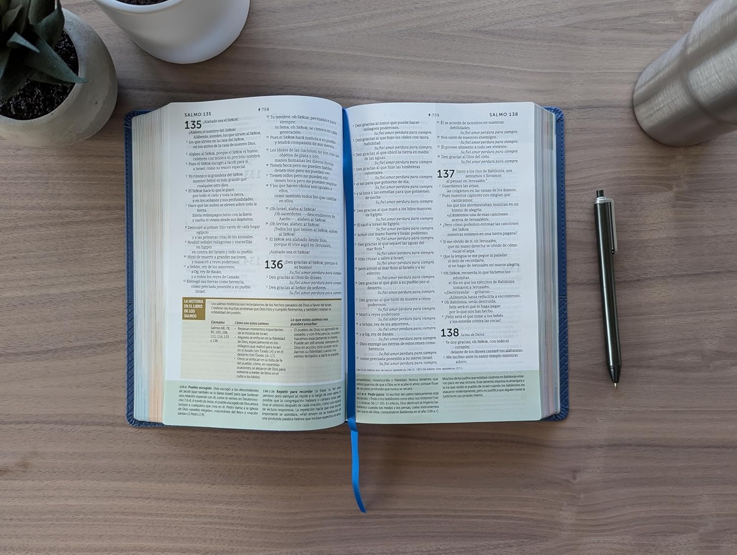 Biblia NTV Estudio diario vivir para jovenes con filament Azul sim piel 8.25pt