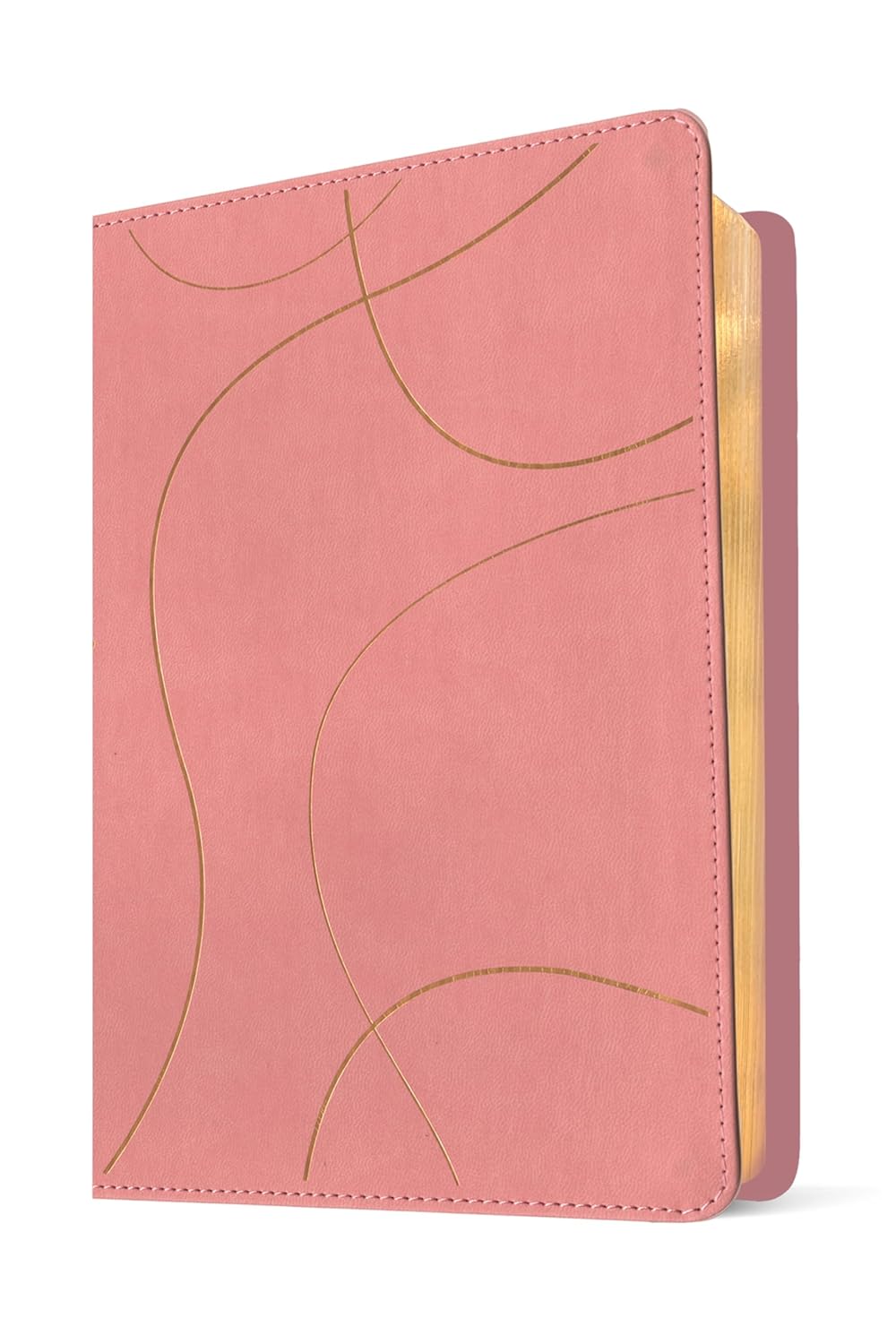 Biblia NTV Estudio diario vivir para jovenes con filament rosa sim piel 8.25pt