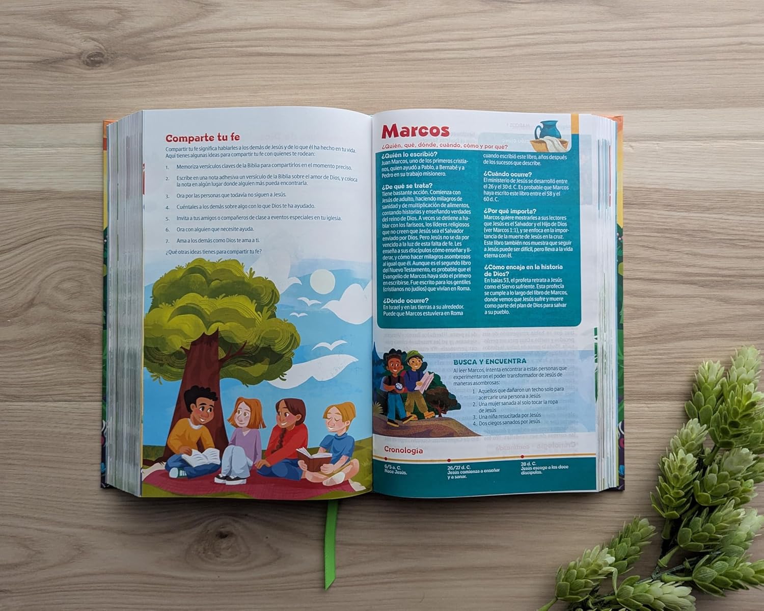 Biblia NTV GO para niños tapa dura 9.5pt
