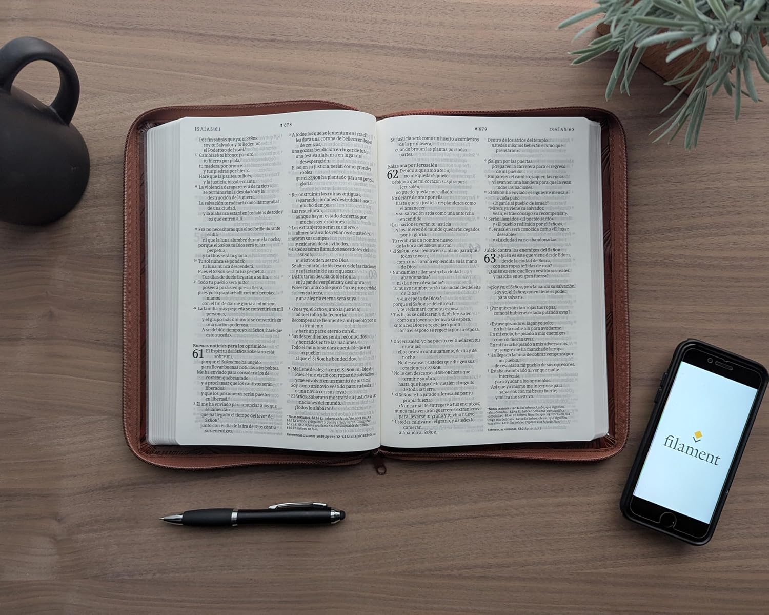 Biblia NTV Ultrafina con filament palmera café sim piel lt gde cierre 10.25pt