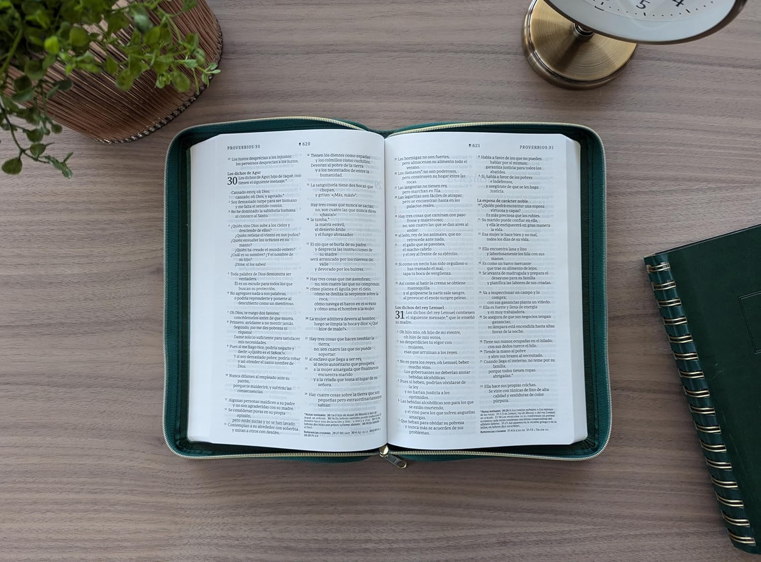 Biblia NTV Ultrafina con filament verde sim piel 8.75p