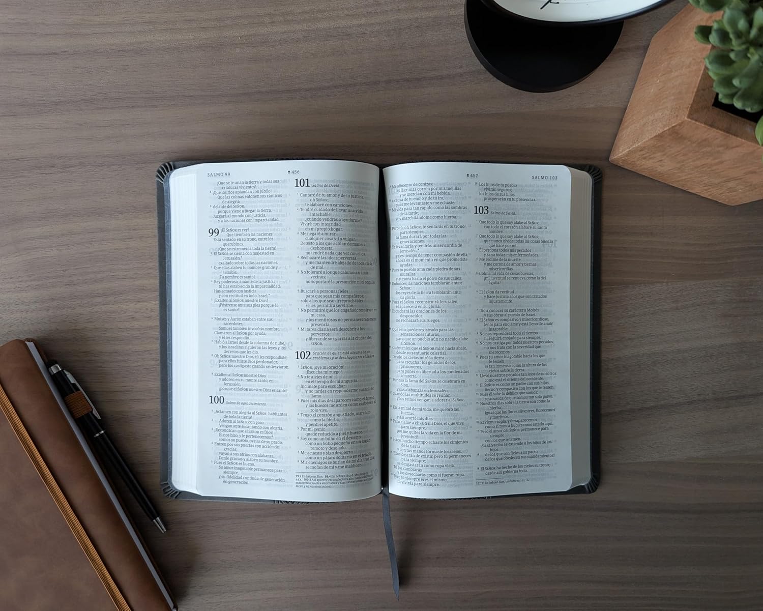 Biblia NTV valor premium con filament gris sim piel 8.25pt