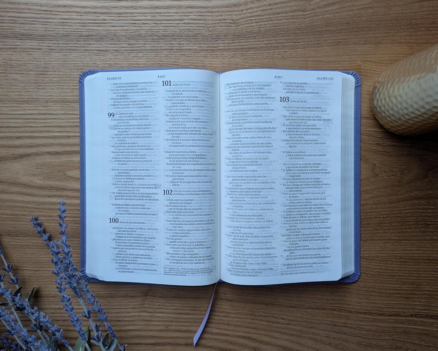 Biblia NTV valor premium con filament purpura sim piel 8.25pt