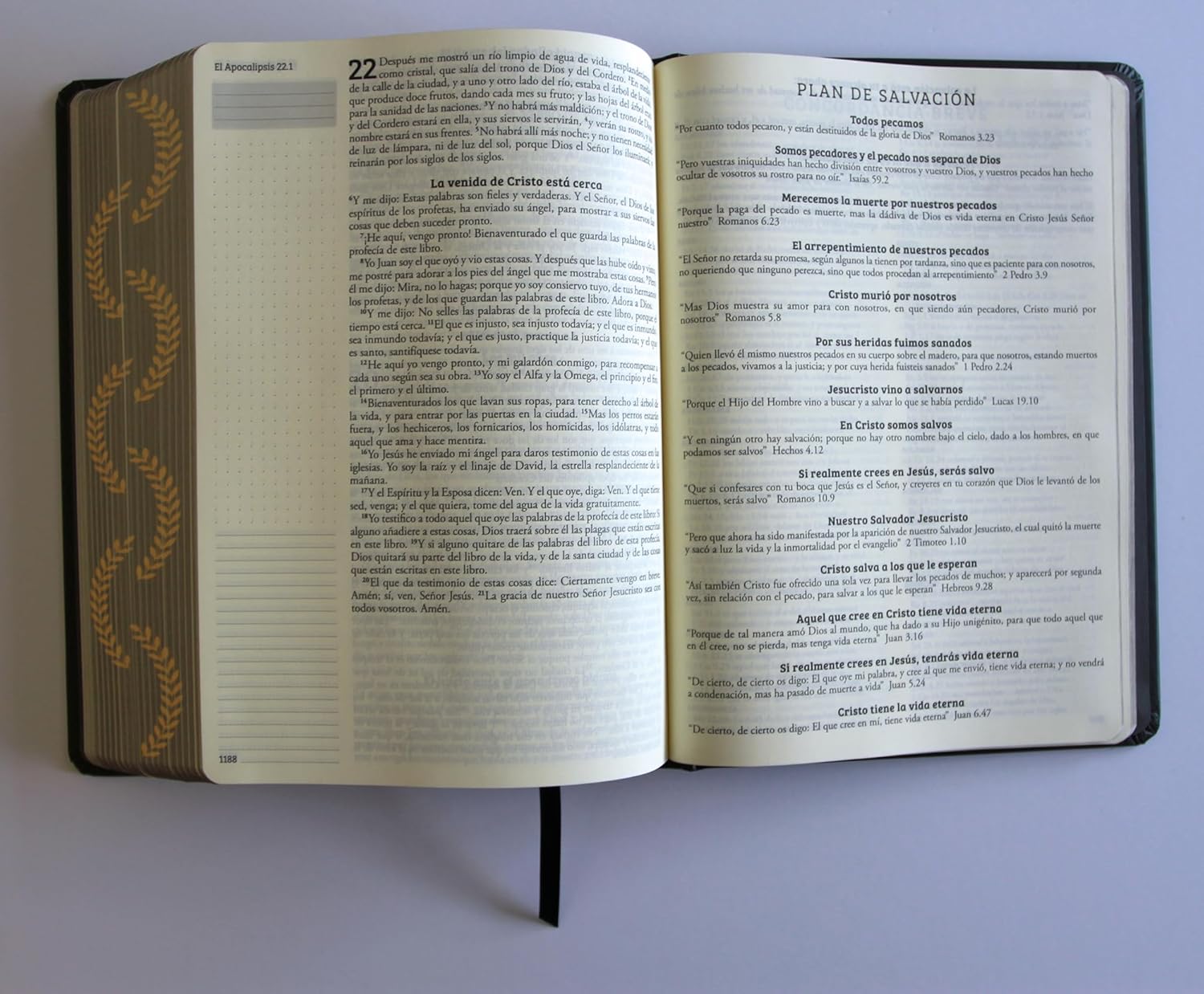Biblia RVR1960 Apuntes negro oro cto pintado tapa dura manual 11p