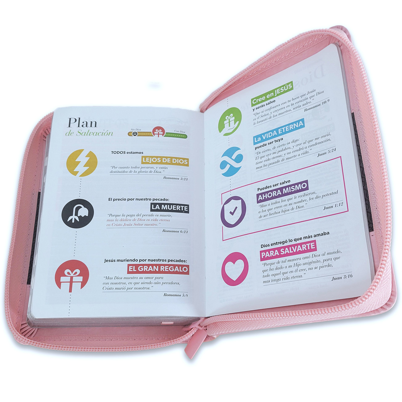 Biblia RVR1960 Classic rosa café im piel cierre índice bolsillo 8.5p