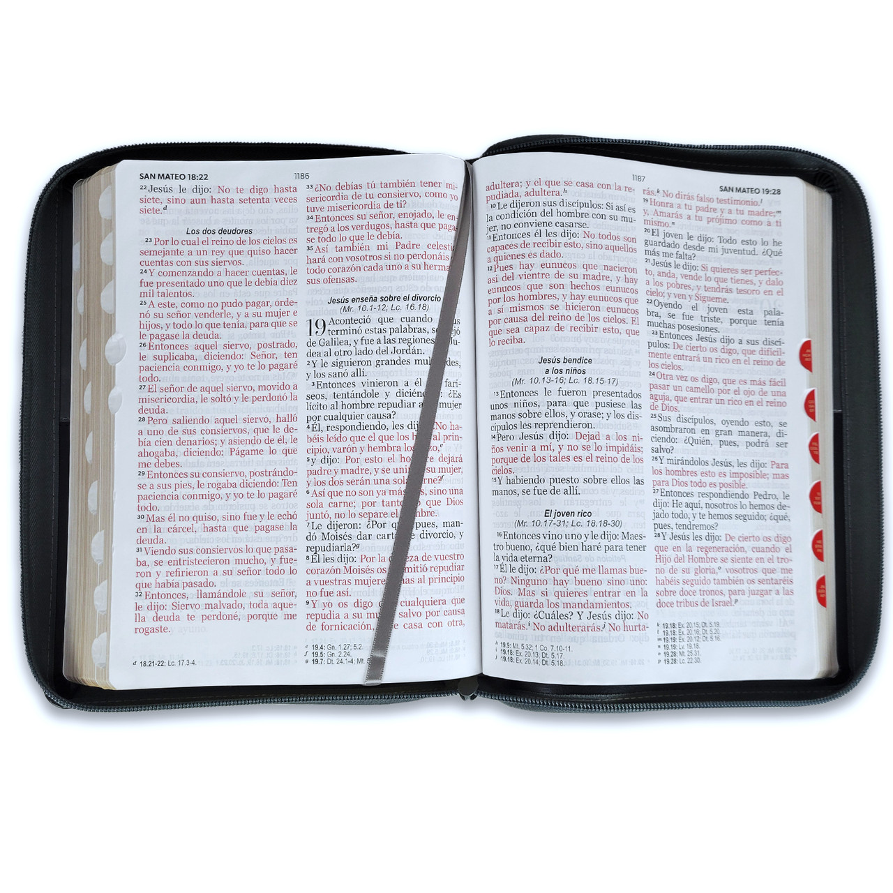 Biblia RVR1960 Expresate Leon negro/gris im piel cierre índice GI 15pt 085PRJ