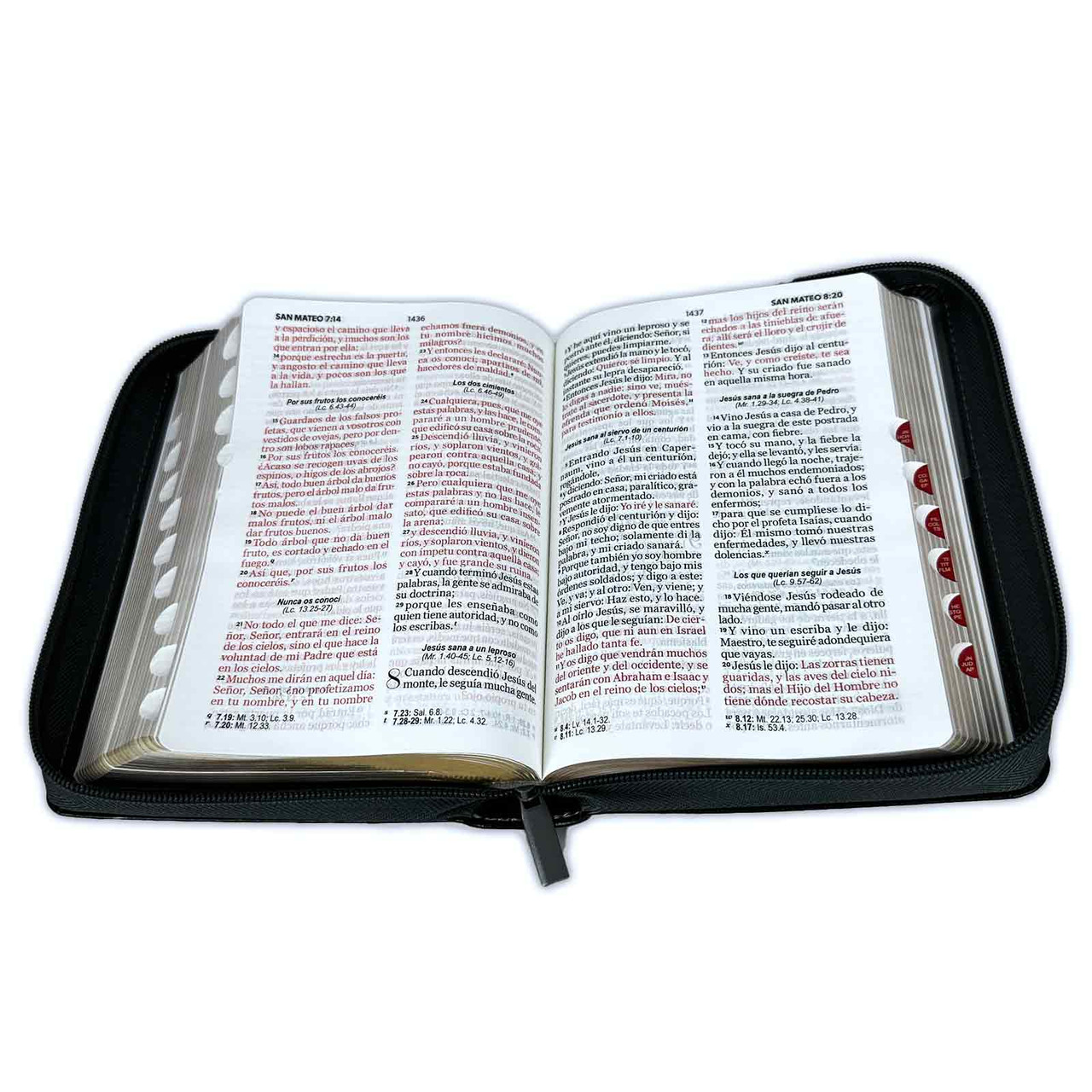 Biblia RVR1960 Expresate leon negro im piel cierre índice 11pt PJR