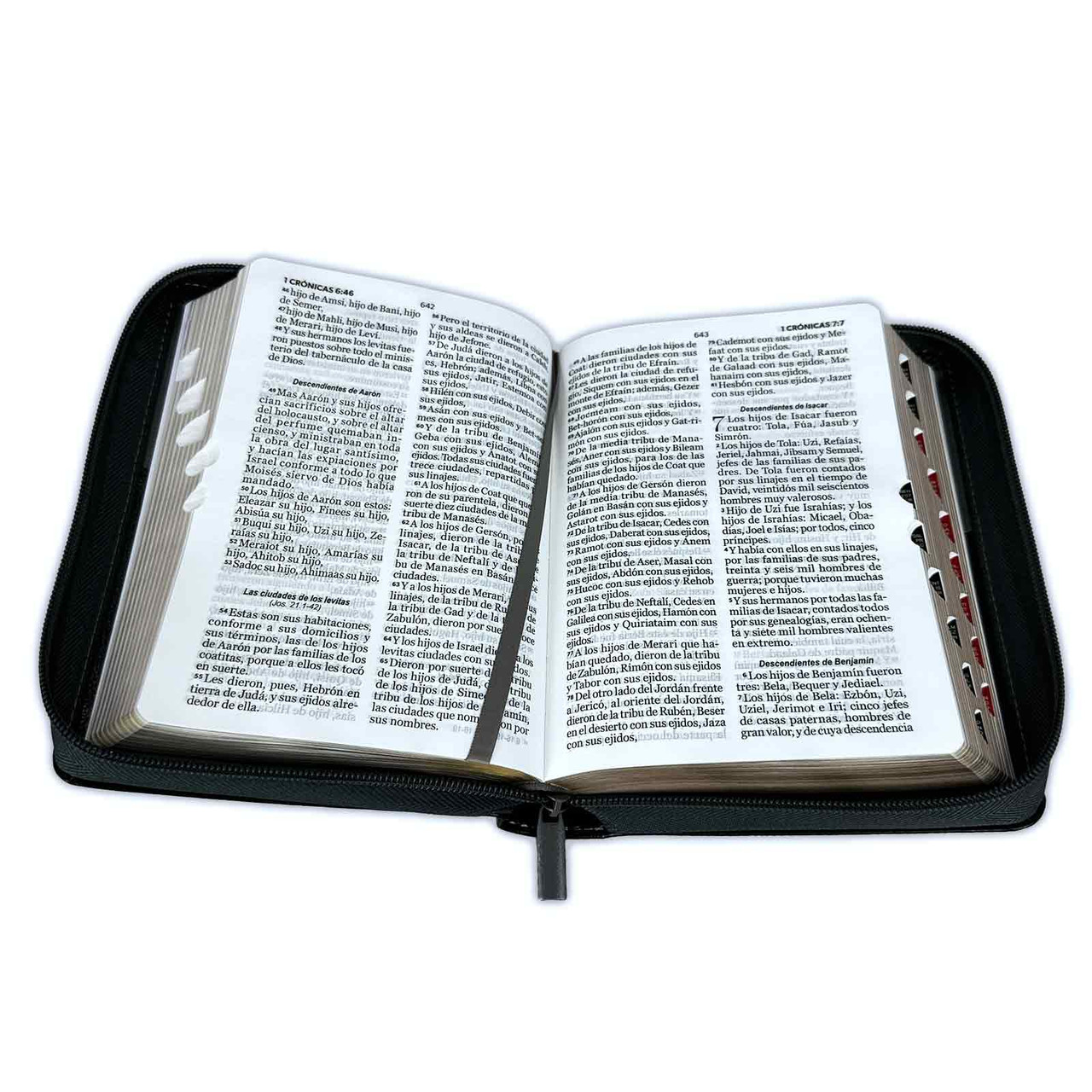 Biblia RVR1960 Expresate leon negro im piel cierre índice 11pt PJR