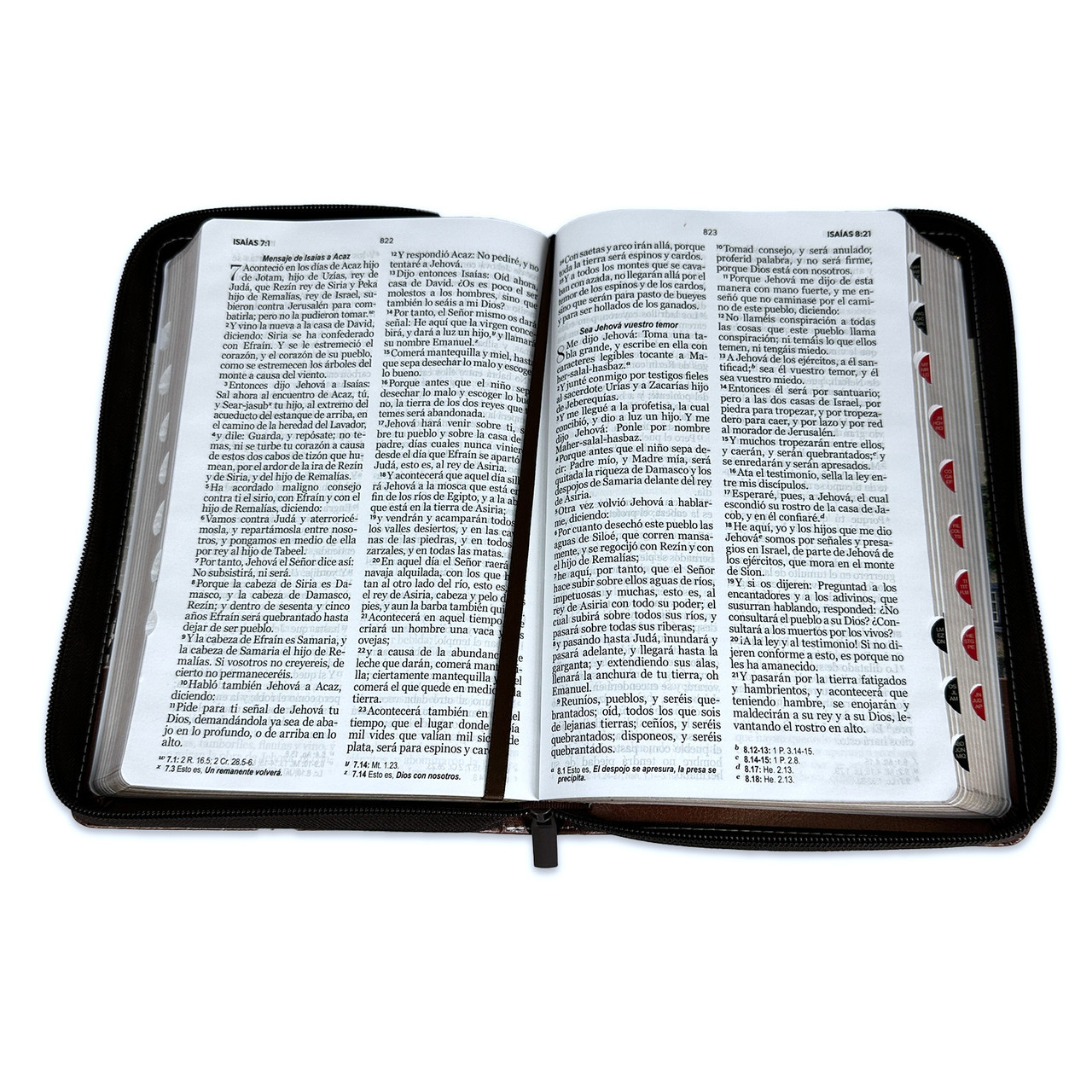 Biblia RVR1960 Fantasia marron fantasia grana im piel cierre índice manual 12.5p Vsp