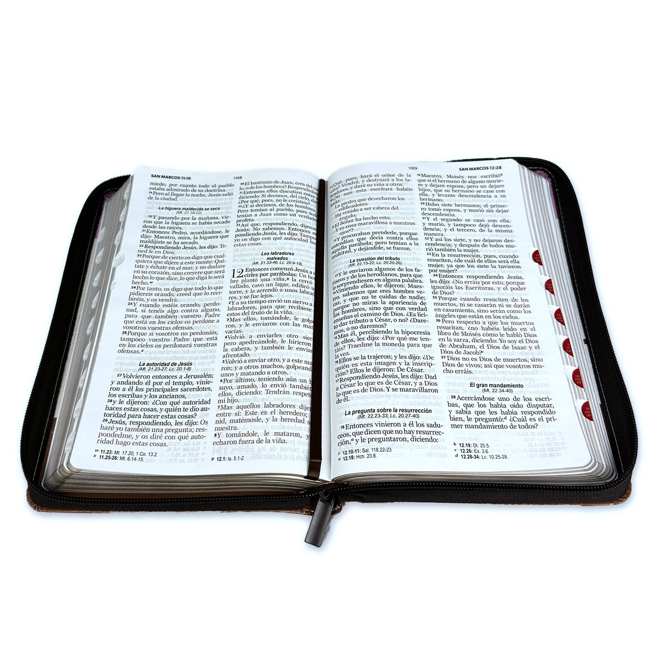 Biblia RVR1960 Fantasia rosa fantasia cafe im piel cierre índice manual 12.5pt Vsp