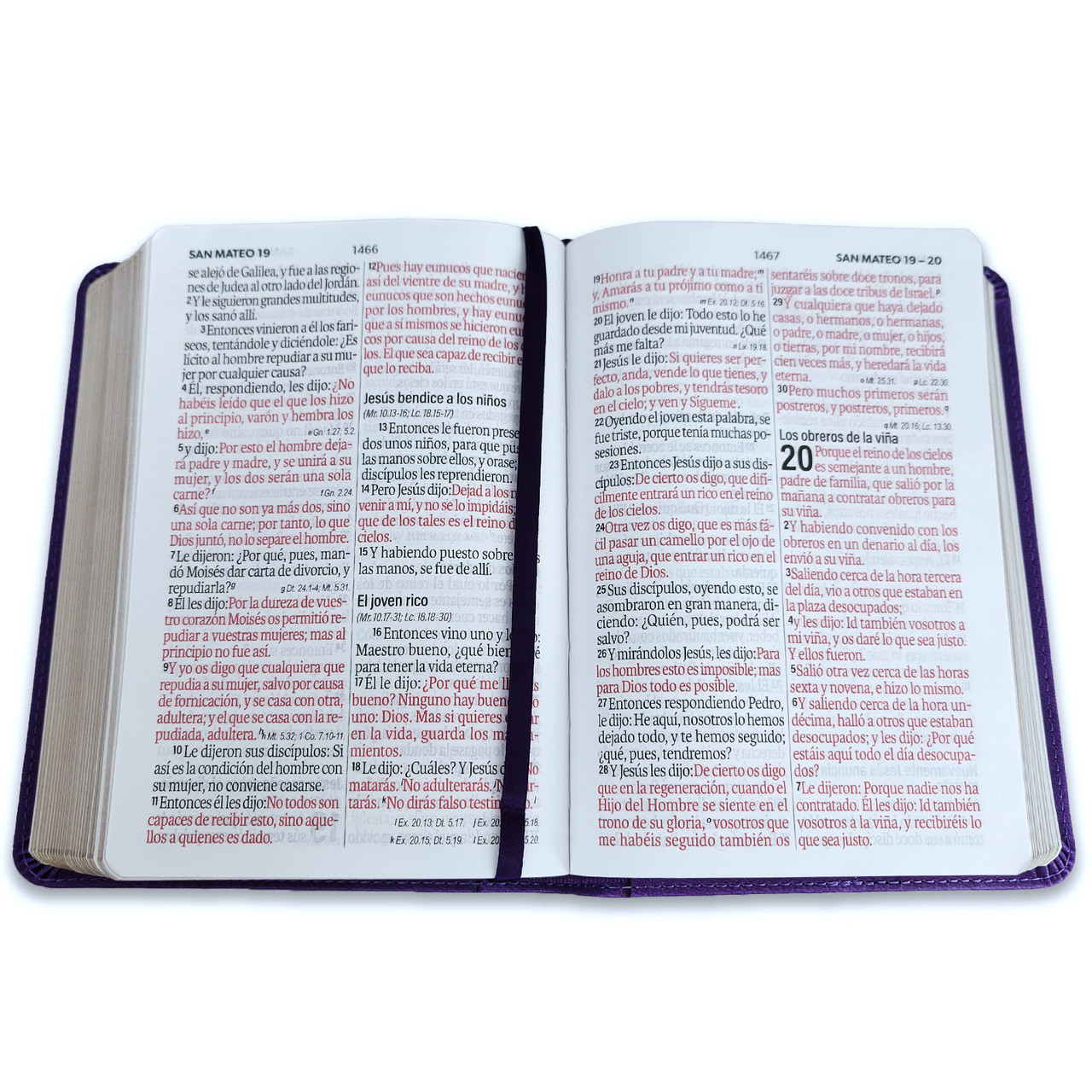 Biblia RVR1960 frame lila/lila im piel chica12p