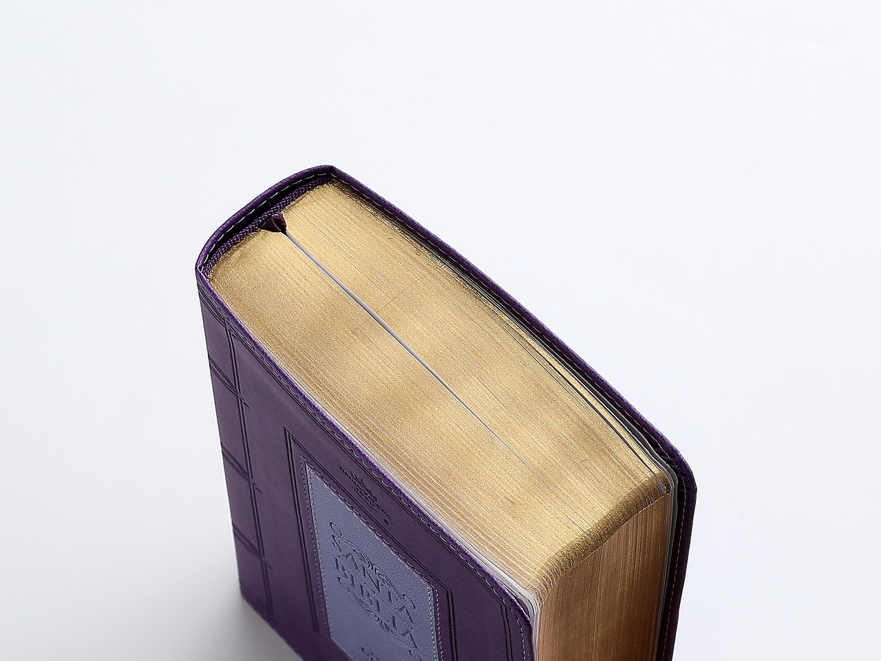 Biblia RVR1960 frame lila/lila im piel chica12p
