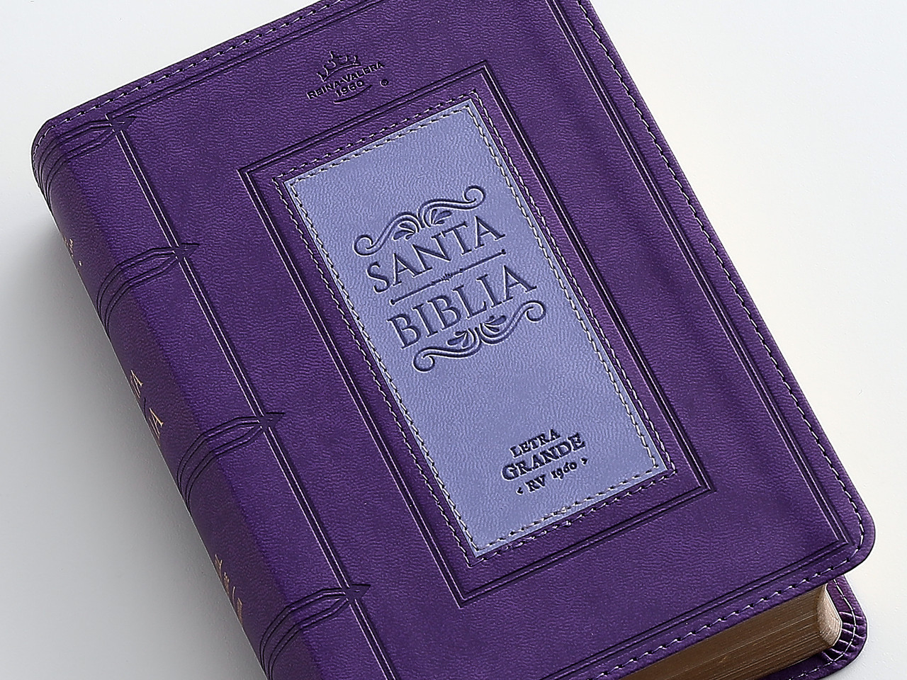Biblia RVR1960 frame lila/lila im piel chica12p