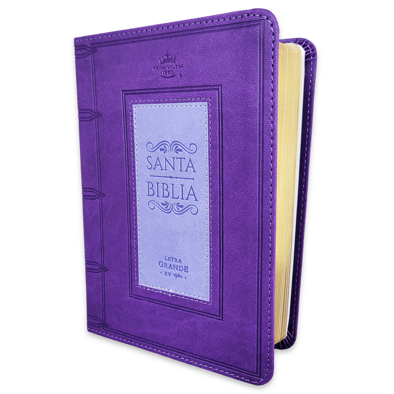 Biblia RVR1960 frame lila/lila im piel chica12p