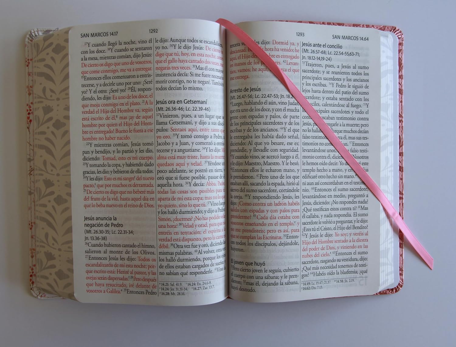 Biblia RVR1960 letra gigante rosada flores cto pintado im piel manual 14p