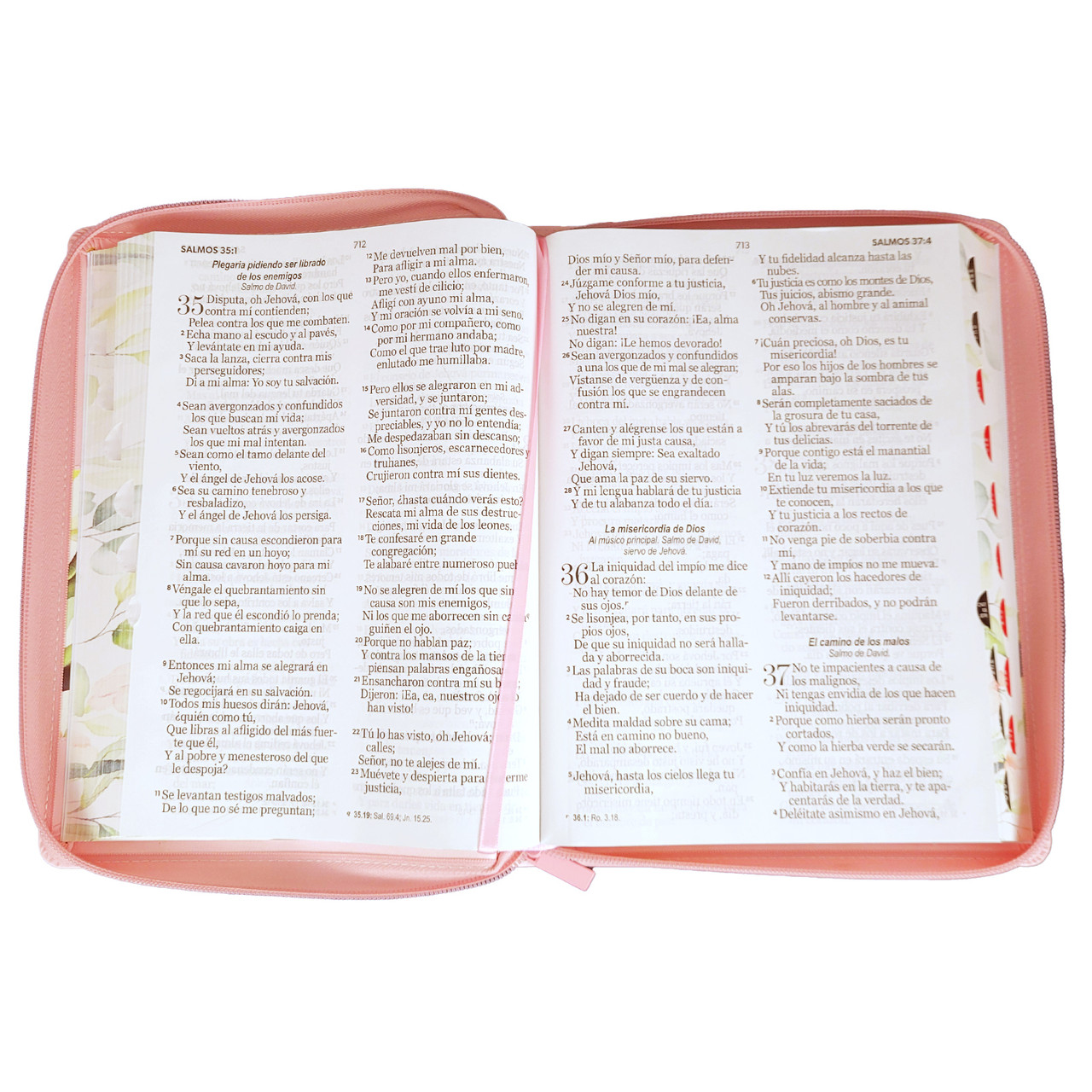 Biblia RVR1960 Maravilla boho rosa im piel cierre índice GI 15P 085PRJ
