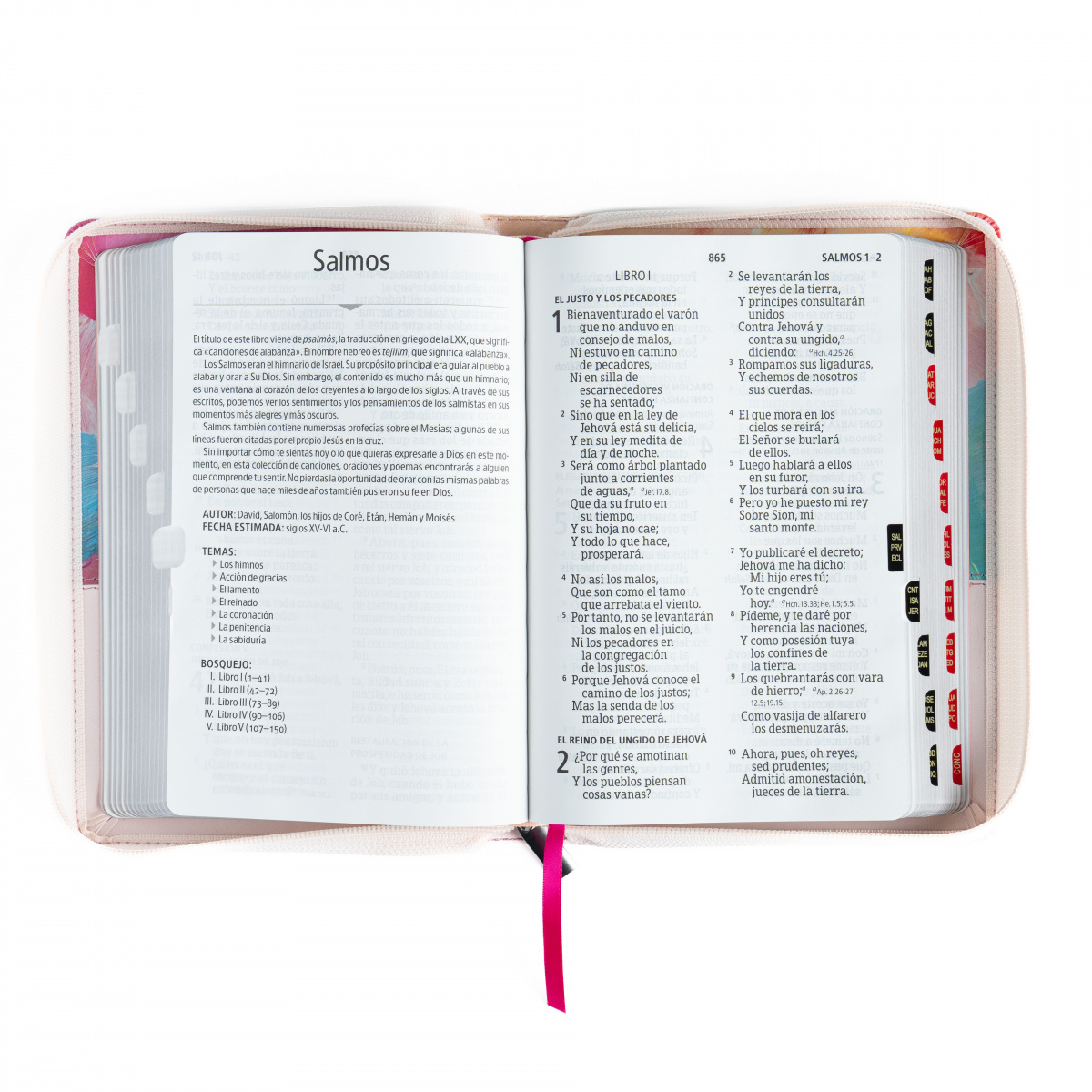 Biblia RVR1960 letra gigante multicolor ed 2025 im piel índice cierre manual 14pt - Image 2