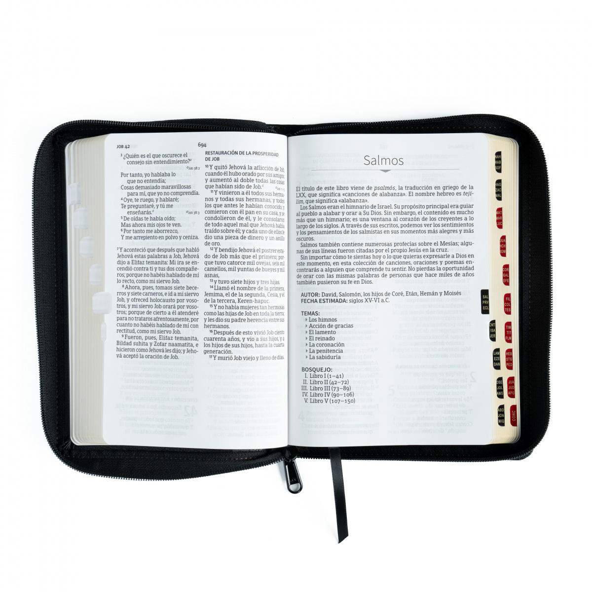 Biblia RVR1960 letra grande negro ed 2025 im piel índice cierre manual 12pt - Image 4