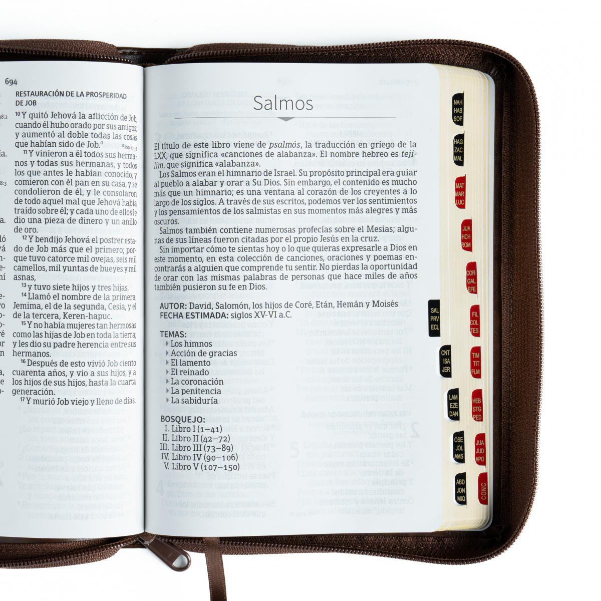 Biblia RVR1960 letra grande marron ed 2025 im piel índice cierre manual 12pt - Image 4