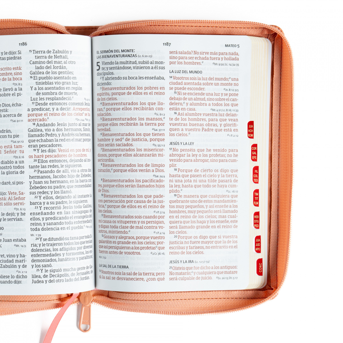 Biblia RVR1960 letra grande caramelo floral ed 2025 im piel índice cierre manual 12pt - Image 4