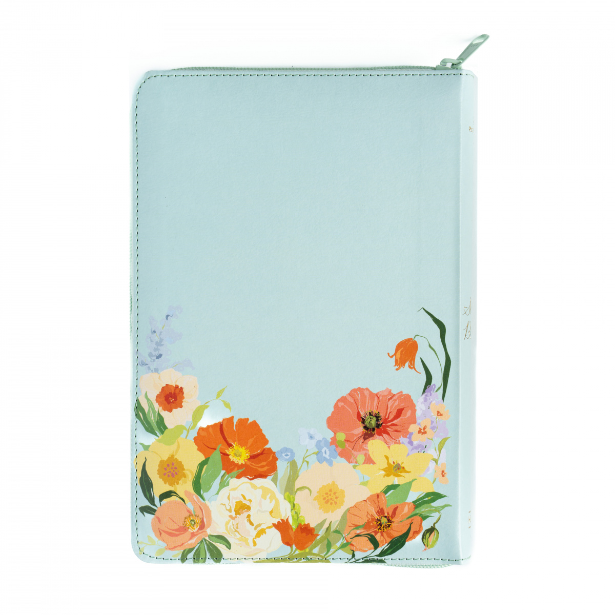 Biblia RVR1960 letra grande menta ed 2025 im piel índice cierre manual 12pt - Image 6