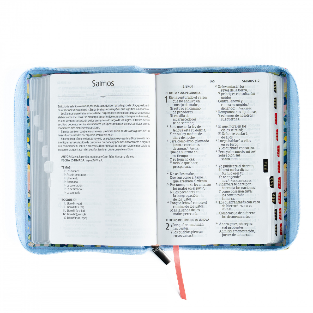 Biblia RVR1960 letra gigante celeste ed 2025 im piel índice cierre manual 14pt - Image 4