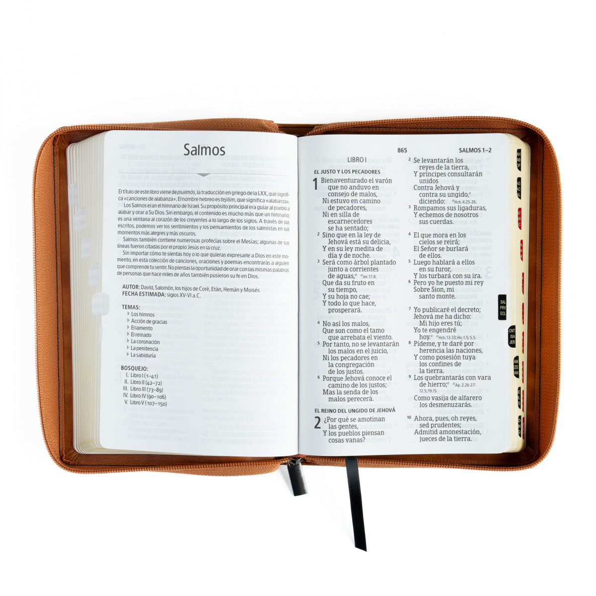 Biblia RVR1960 letra gigante marron negro ed 2025 im piel índice cierre manual 14pt - Image 3