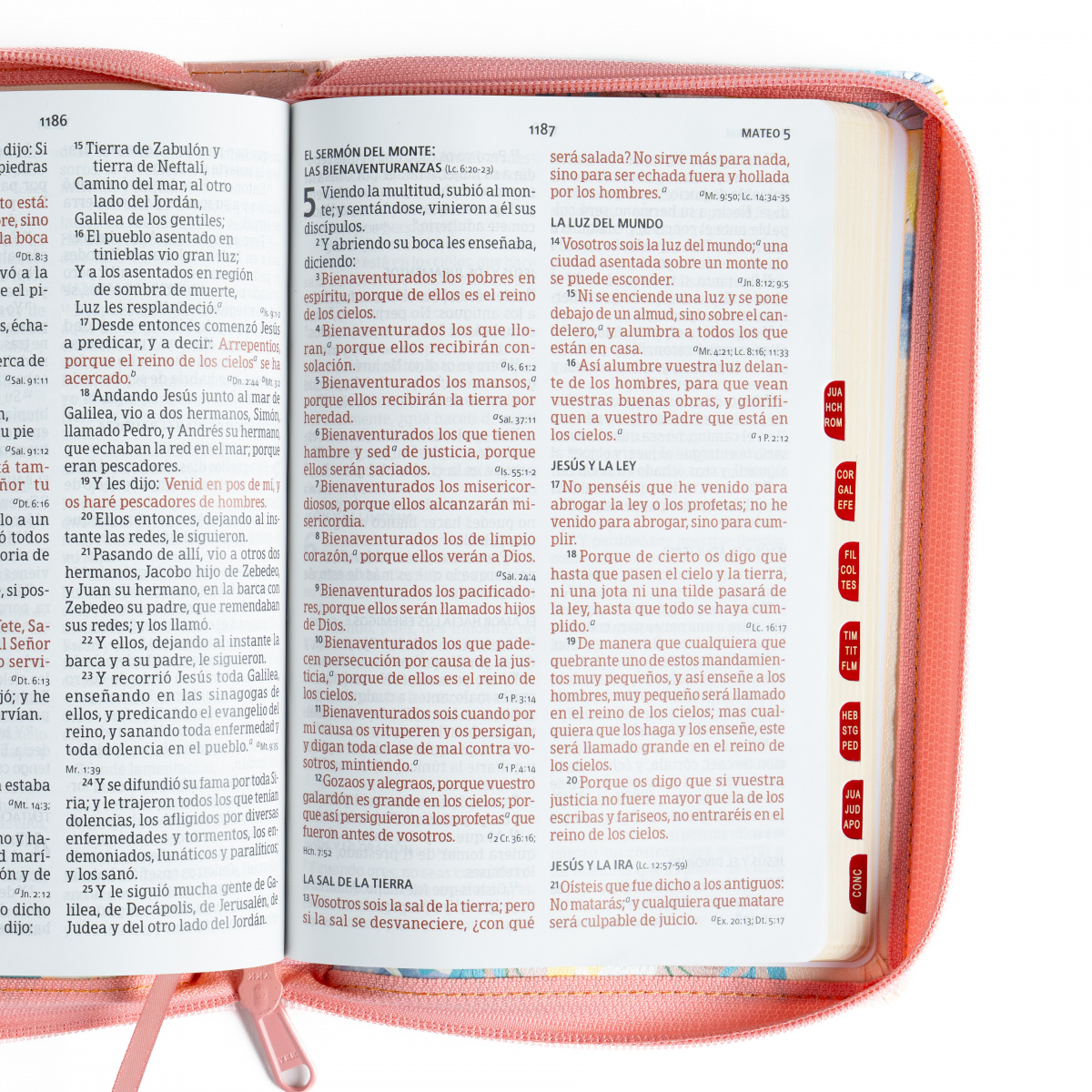 Biblia RVR1960 letra grande crema ed 2025 im piel índice cierre manual 12pt - Image 5