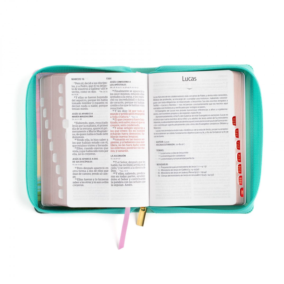 Biblia RVR1960 letra grande multicolor menta ed 2025 im piel índice cierre chica 11pt - Image 3