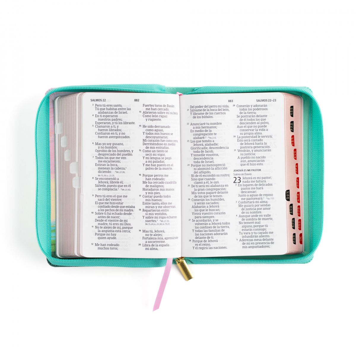 Biblia RVR1960 letra grande multicolor menta ed 2025 im piel índice cierre chica 11pt - Image 5