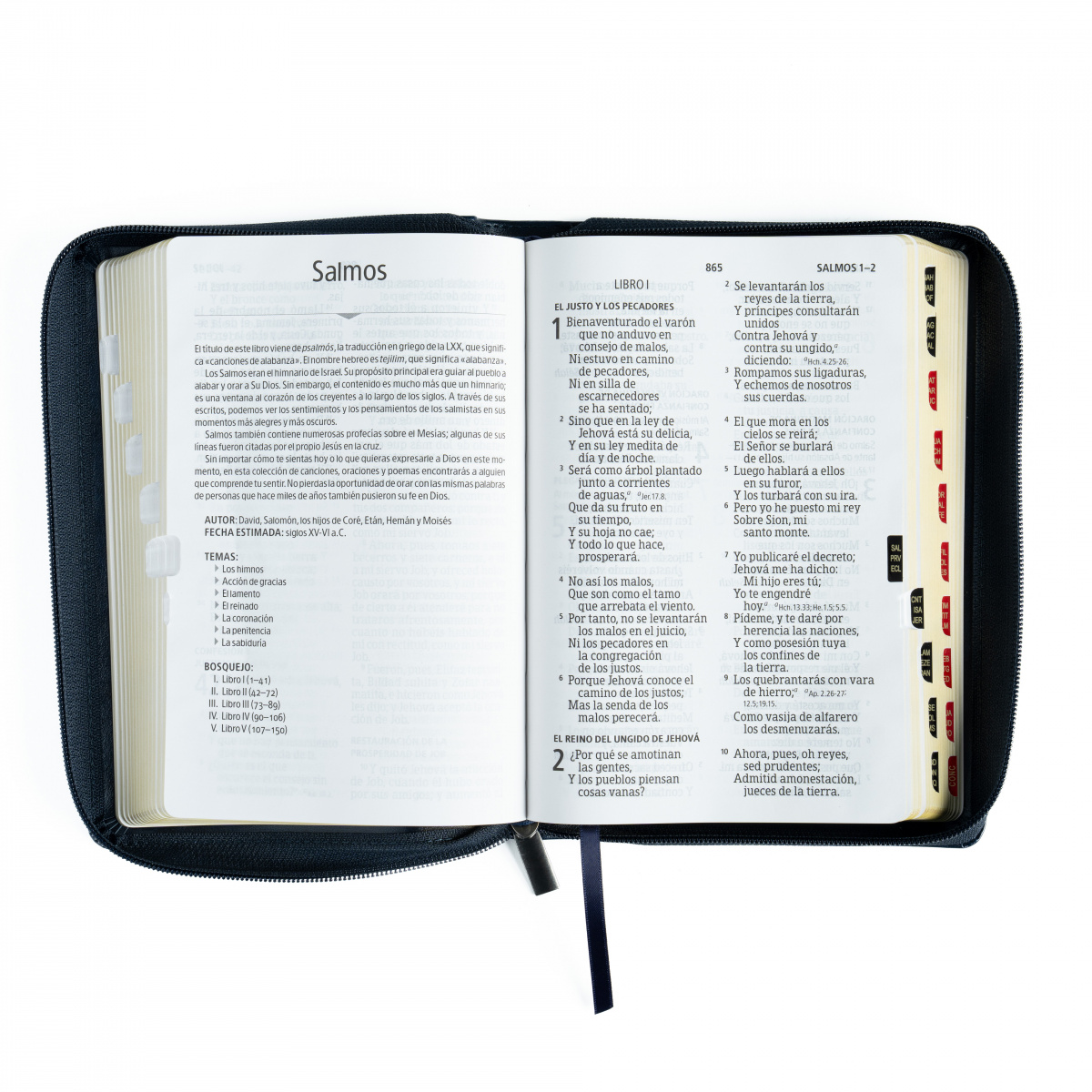 Biblia RVR1960 letra gigante azul marino ed 2025 im piel índice cierre manual 14pt - Image 2