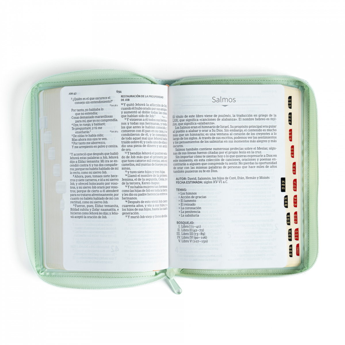 Biblia RVR1960 letra grande menta ed 2025 im piel índice cierre manual 12pt - Image 5