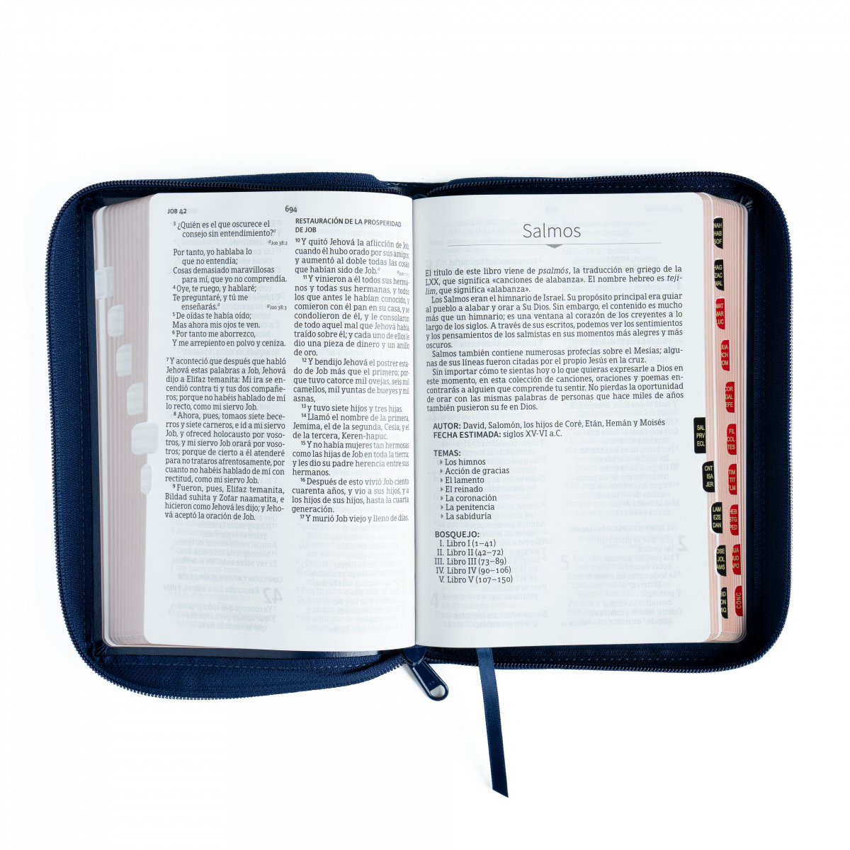 Biblia RVR1960 letra grande azul marino ed 2025 im piel índice cierre manual 12pt - Image 2