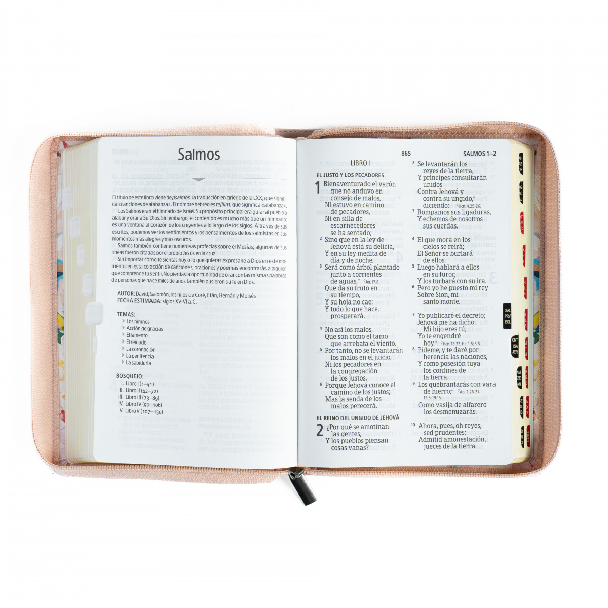 Biblia RVR1960 letra gigante rosa cuarzo ed 2025 im piel índice cierre manual 14pt - Image 4