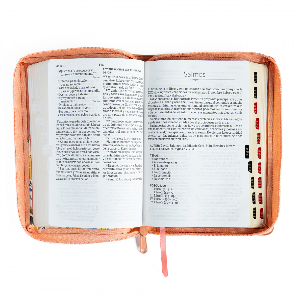 Biblia RVR1960 letra grande caramelo floral ed 2025 im piel índice cierre manual 12pt - Image 3